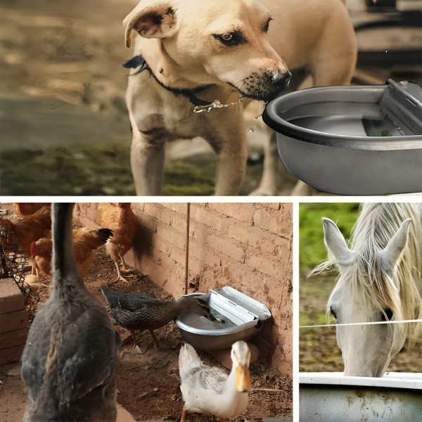 DrinkSure™ | Die problemlose Wasserstation für Haustiere und Nutztiere!