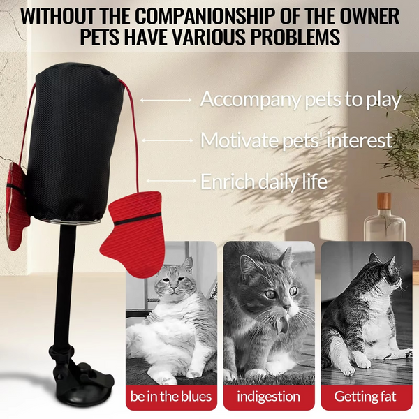 50% OFF TEMPORÄR | PounceBag™