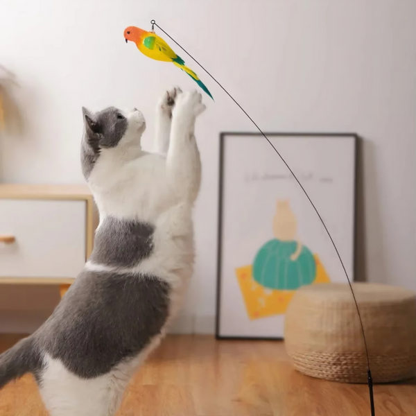 1 + 1 GRATIS HEUTE | WhiskerWand™ | Verwandeln Sie faule Nachmittage in wilde Jagden!