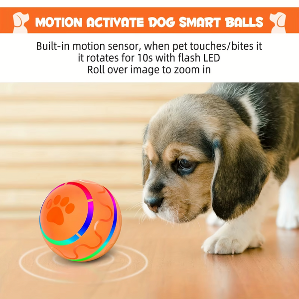 50% RABATT TEMPORÄR | FlashFetch™ | Interaktiver Hundeball ohne werfen zu müssen!