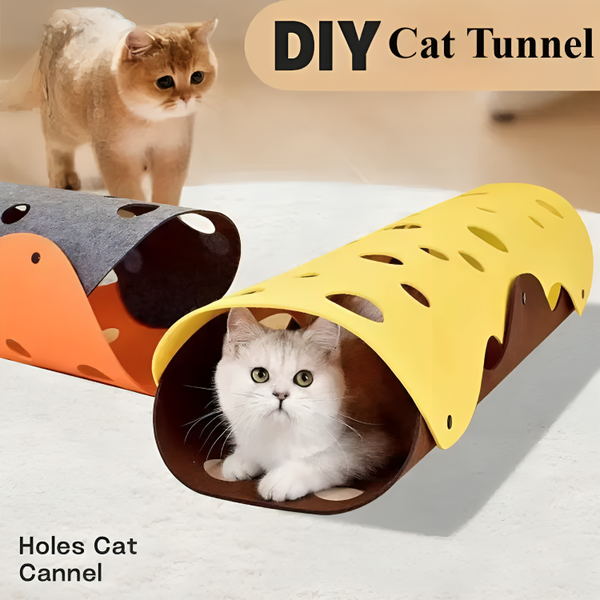 CatCove™ | Eine lustige Art, Katzen aktiv und fit zu halten!