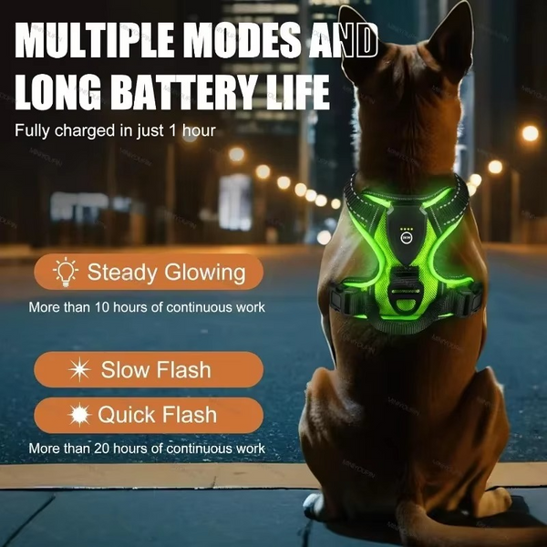 50% OFF TEMPORÄR | GloLeash™