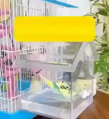 50% OFF TEMPORÄR  Aviara™