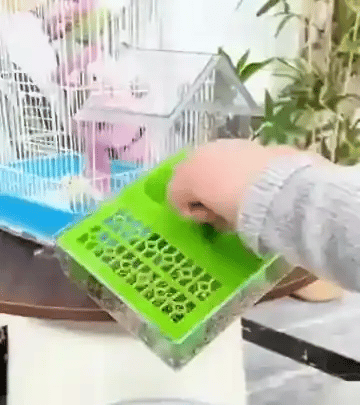 50% OFF TEMPORÄR  Aviara™