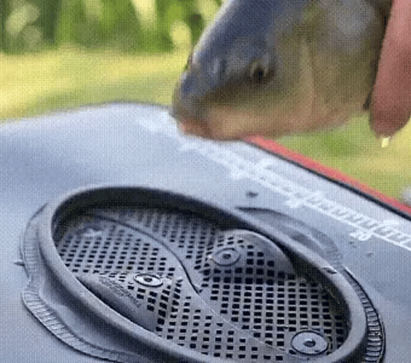 50% OFF TEMPORÄR  CatchKeeper™