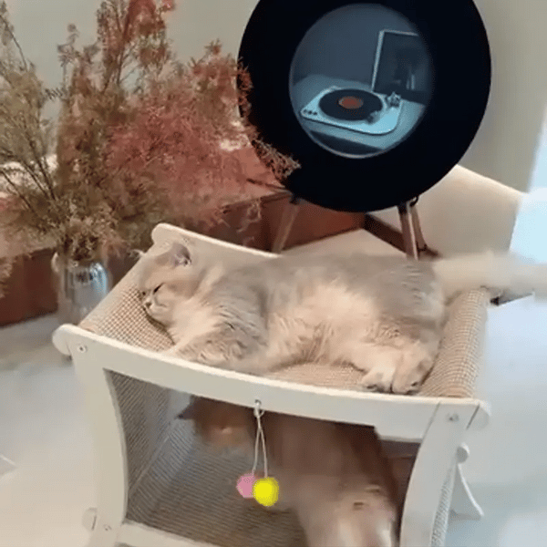 50% OFF TEMPORÄR  PawVilla™