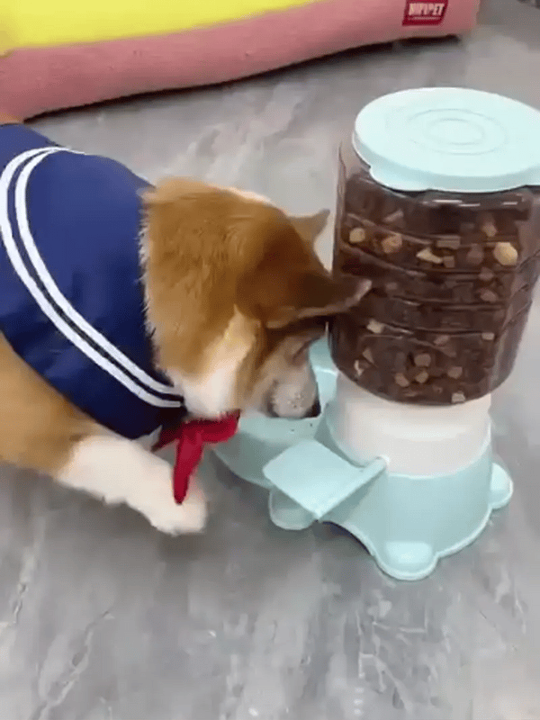 50% OFF TEMPORÄR  PawSmart™