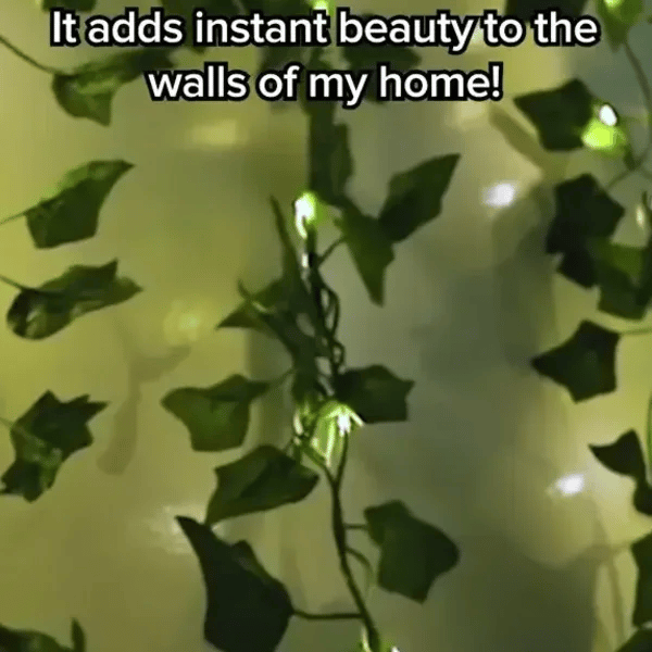 50% OFF TEMPORÄR  VineLustra™ 