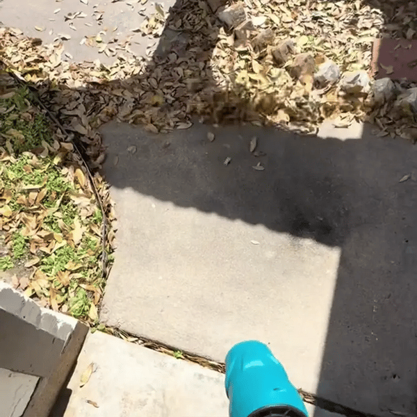 50% OFF TEMPORÄR  Blastrix™