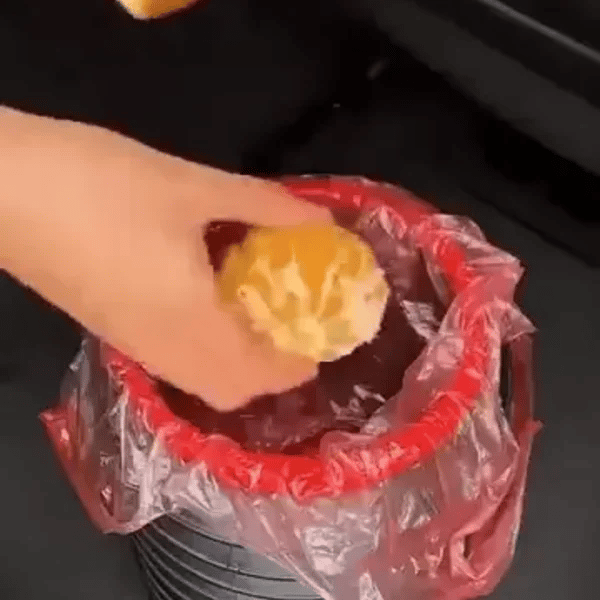 1 + 1 GRATIS HEUTE  PopBin™