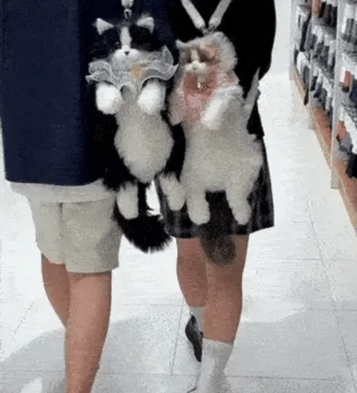 50% OFF TEMPORÄR  Pawlette™