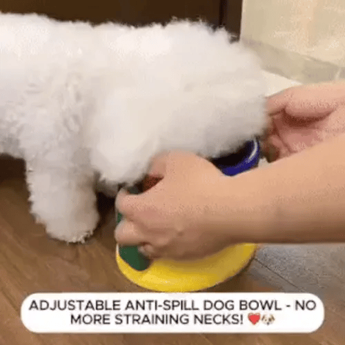 50% OFF TEMPORÄR  BowlBuddy™