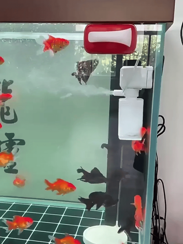 50% OFF TEMPORÄR  OxyStream™ 