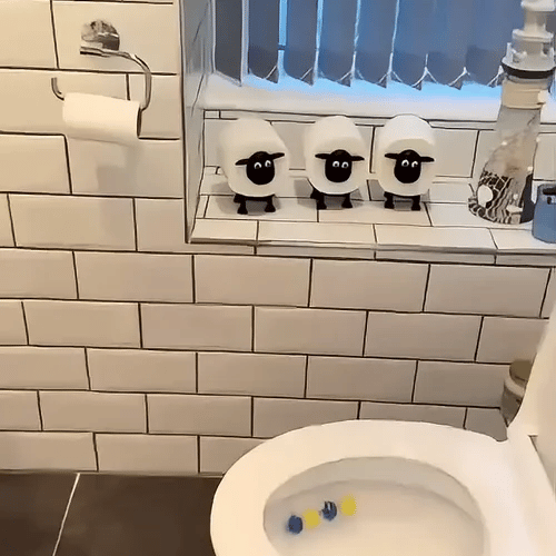 1 + 1 GRATIS HEUTE  BaaRoll™