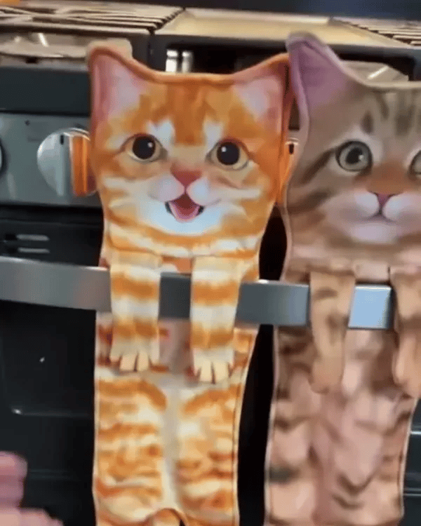 1 + 1 GRATIS HEUTE  PurrTowel™