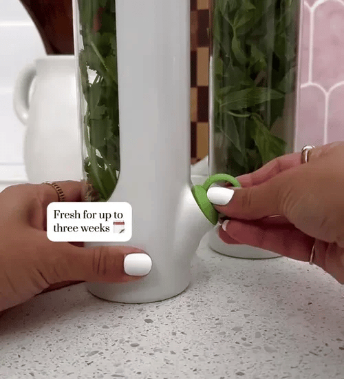 1 + 2 GRATIS HEUTE  HerbPod™