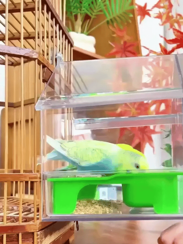 50% OFF TEMPORÄR  FeatherGlide™