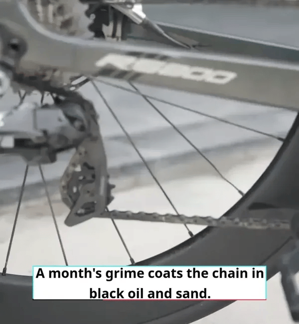 50% OFF TEMPORÄR  VeloScrub™ 