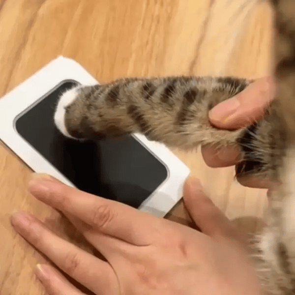 50% OFF TEMPORÄR  EverPrint™