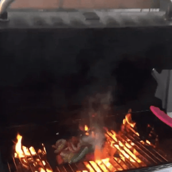 1 + 1 GRATIS HEUTE  GrillaBag™