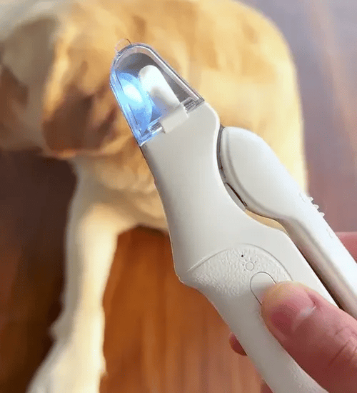 50% OFF TEMPORÄR  PawProtec™