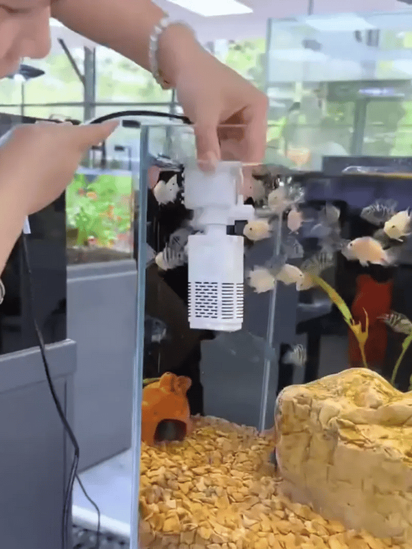 50% OFF TEMPORÄR  OxyStream™ 