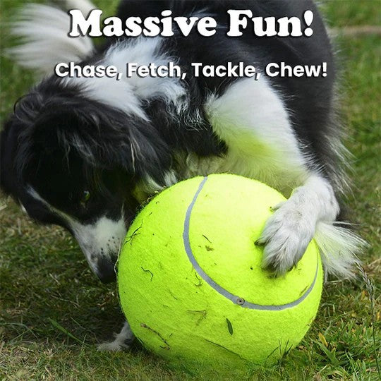 50% OFF TEMPORÄR | MegaFetch™