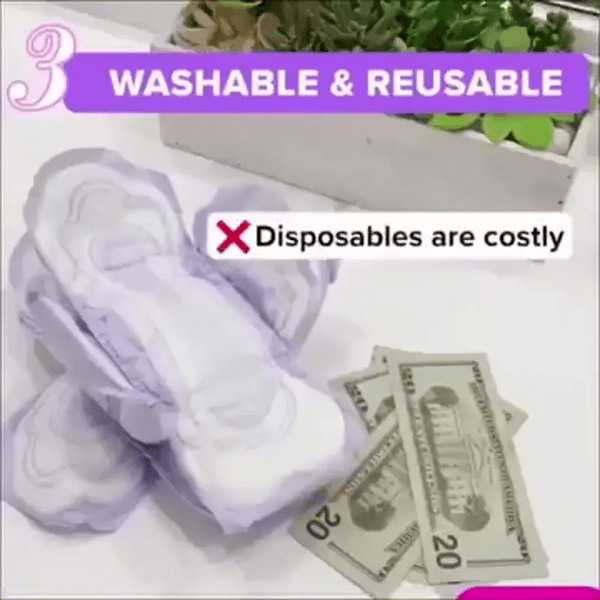 1 + 1 GRATIS HEUTE  EcoFlow™