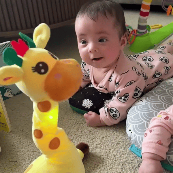 50% OFF TEMPORÄR  GrooveGiraff™ 