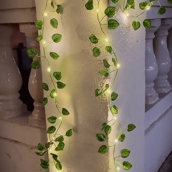 50% OFF TEMPORÄR  VineLustra™ 