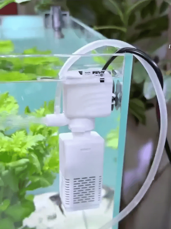 50% OFF TEMPORÄR  OxyStream™ 