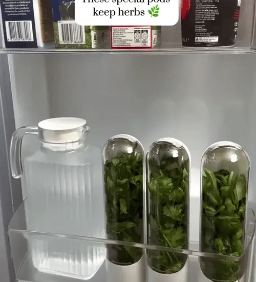 1 + 2 GRATIS HEUTE  HerbPod™