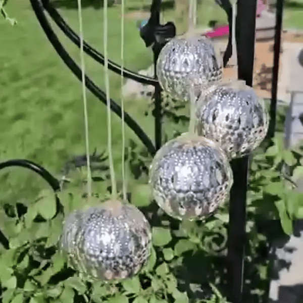 1 + 1 GRATIS HEUTE  GardenGlow™