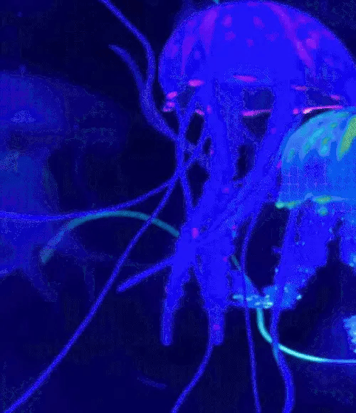 50% RABATT TEMPORÄR  GlowQuatic™