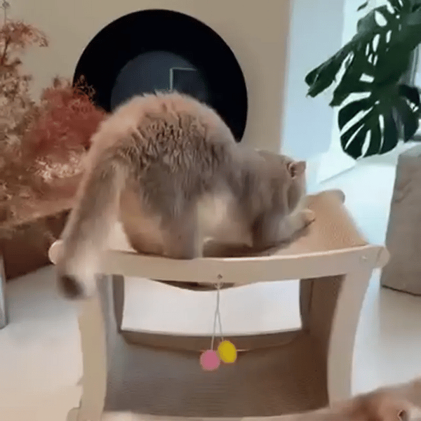 50% OFF TEMPORÄR  PawVilla™
