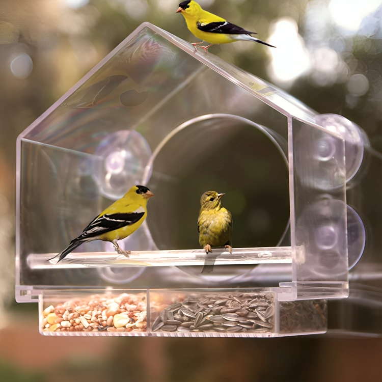 50% RABATT TEMPORÄR | PerchView™ | Verwandeln Sie Ihr Fenster in ein persönliches Vogelschutzgebiet!