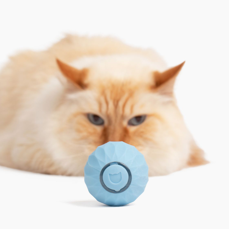 WhiskerWheel™ | Katze Interaktiver Powerball Spielzeug