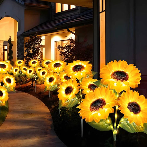1 + 1 GRATIS HEUTE | SolarBloom™