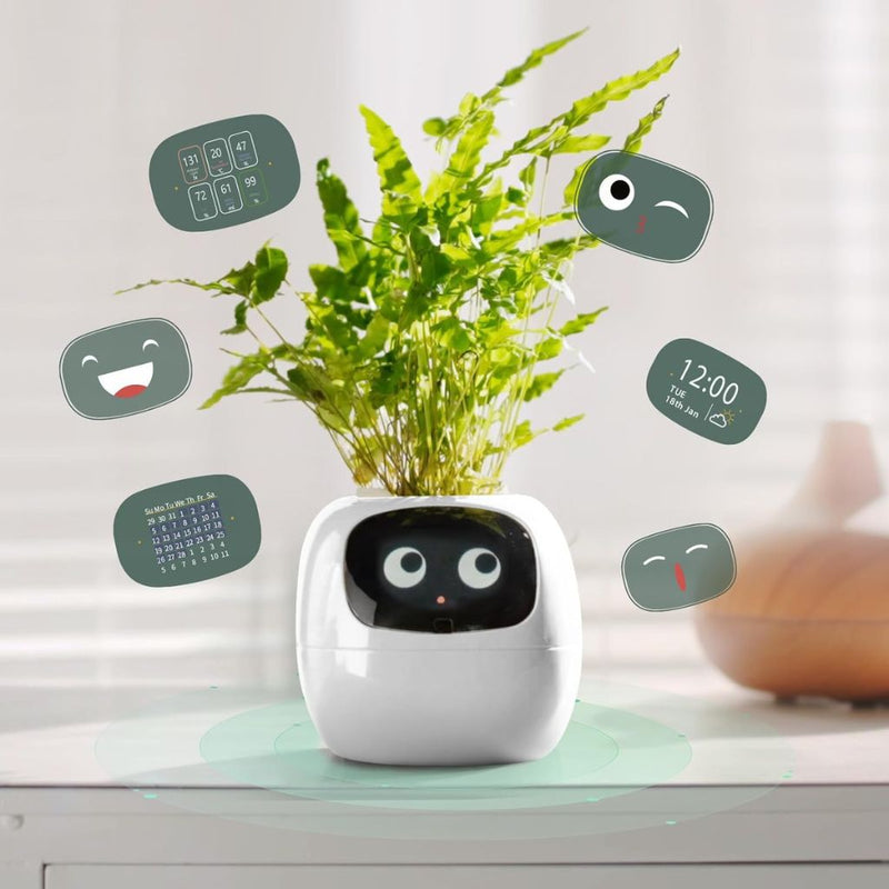 BloomBot™ | Smart Pflanzentopf