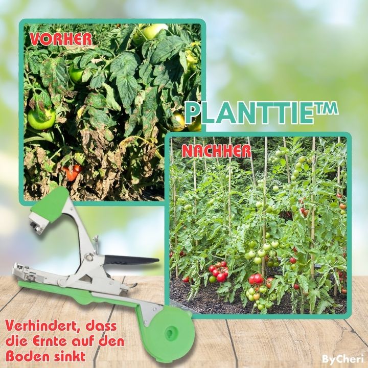PlantTie™ | Binden Sie Ihre Pflanzen in Sekundenschnelle sicher fest!