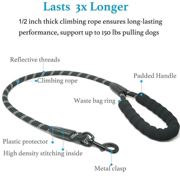 50% OFF TEMPORÄR  PowerLeash™