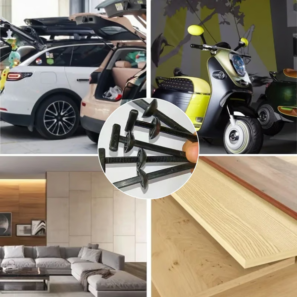 25 + 25 GRATIS HEUTE  TieSnap™