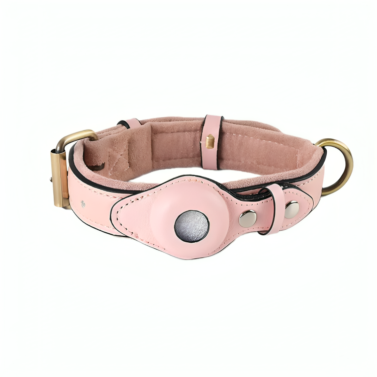 TrackTails™ | Leder-Hundehalsband mit AirTag-Tasche