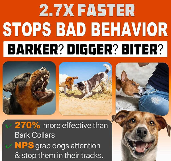 50% RABATT TEMPORÄR | CalmBark™ | Sichere und schmerzfreie Verhaltenskorrekturen für Ihre Hunde!