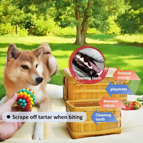 1 + 1 GRATIS HEUTE | ChewSpike™