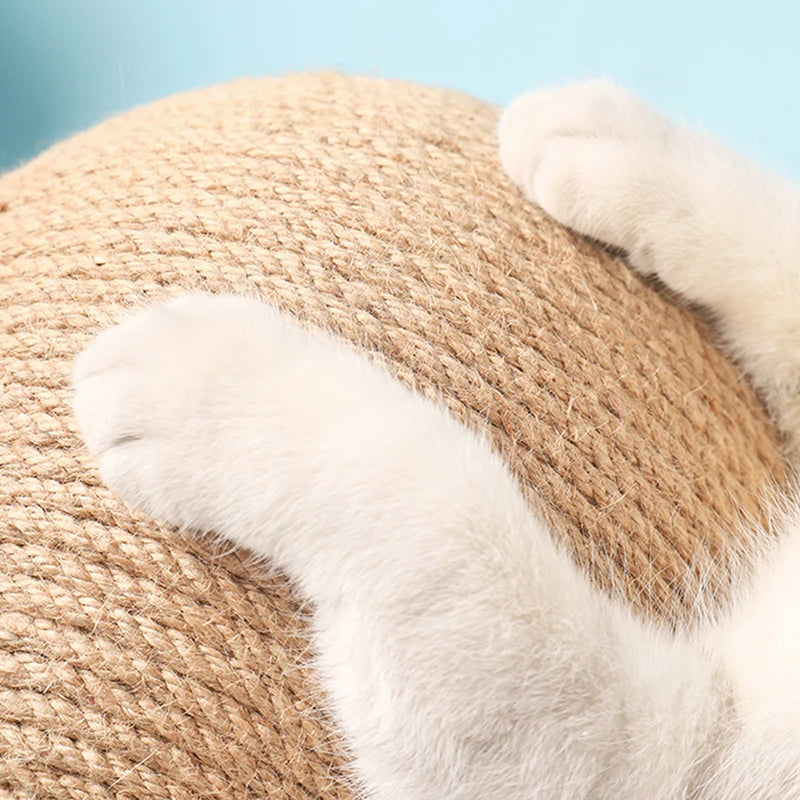 50% RABATT TEMPORÄR | WhirlScratch™ | Unterhaltung und Krallenpflege für Ihre Katze in einem Spielzeug!