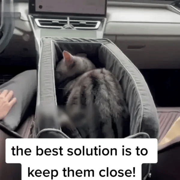 50% OFF TEMPORÄR  PawPort™