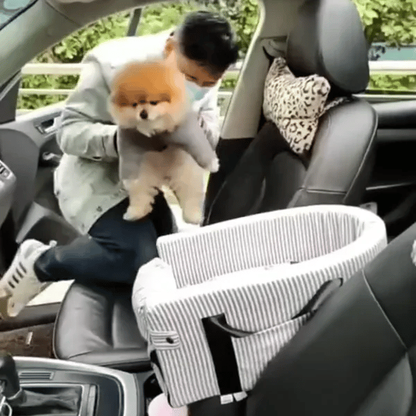 50% OFF TEMPORÄR  PawPort™