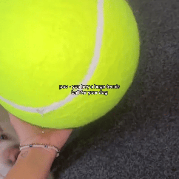 50% OFF TEMPORÄR  MegaFetch™