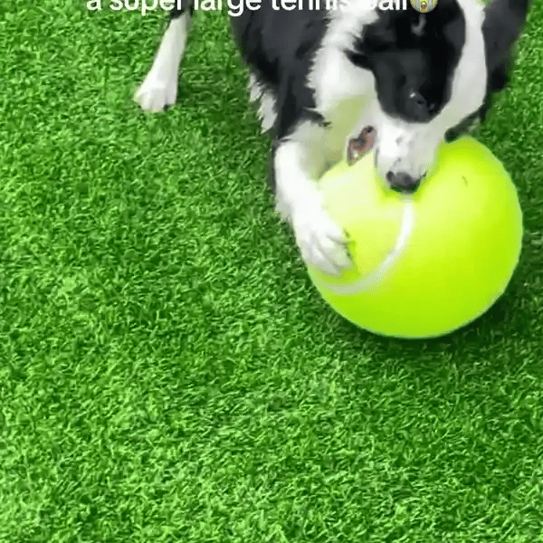 50% OFF TEMPORÄR  MegaFetch™